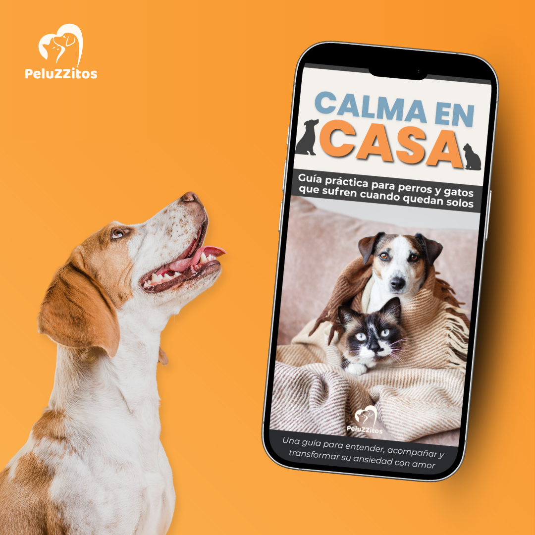 Calma en Casa: guía práctica para perros y gatos que sufren cuando quedan solos
